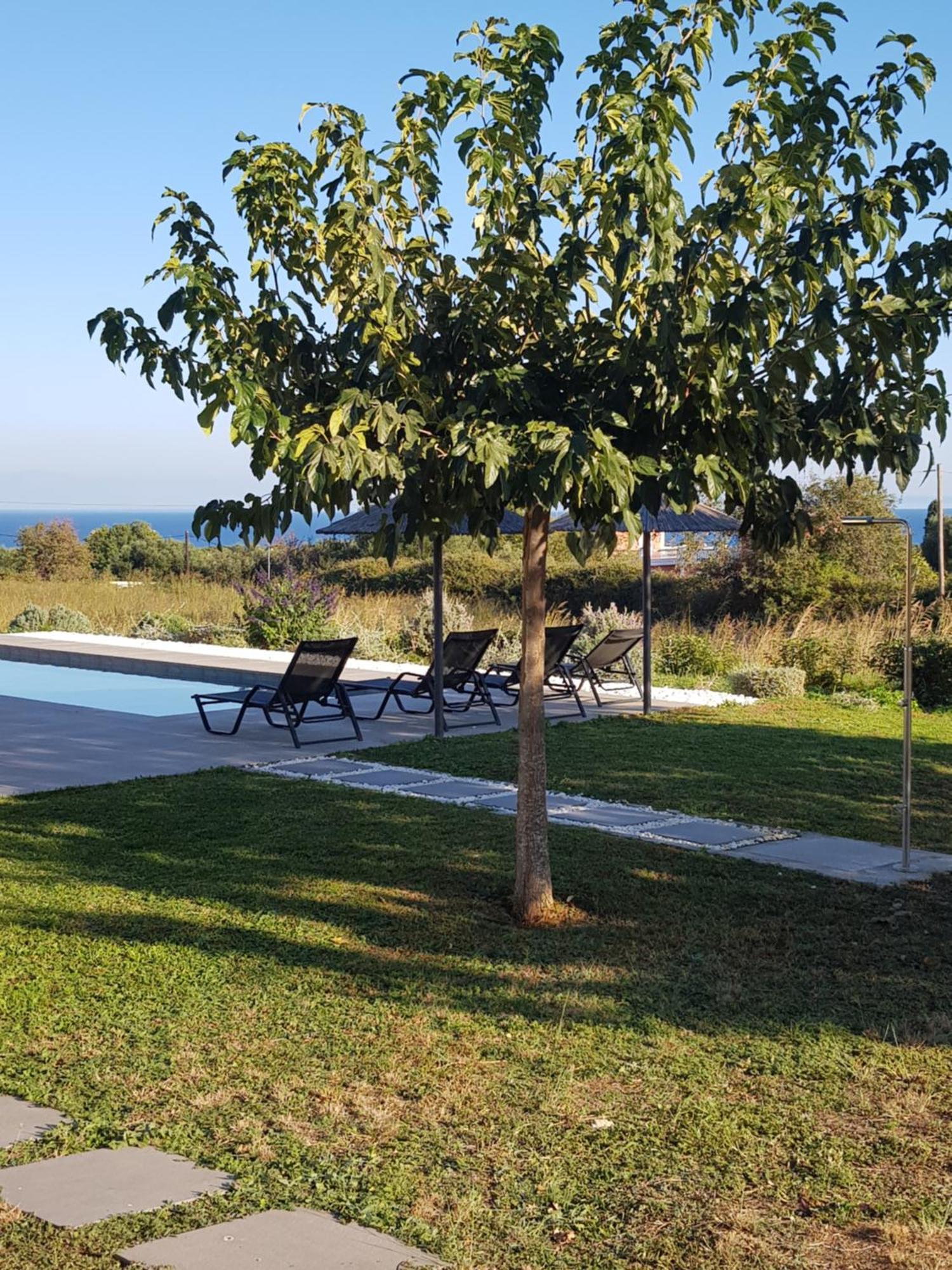Alberi - Izla Homes Skala  Exterior foto